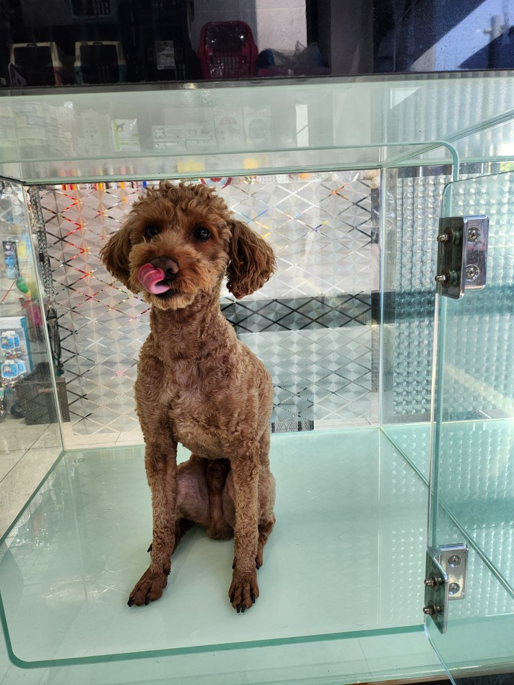 신공항동물병원_428349202300303