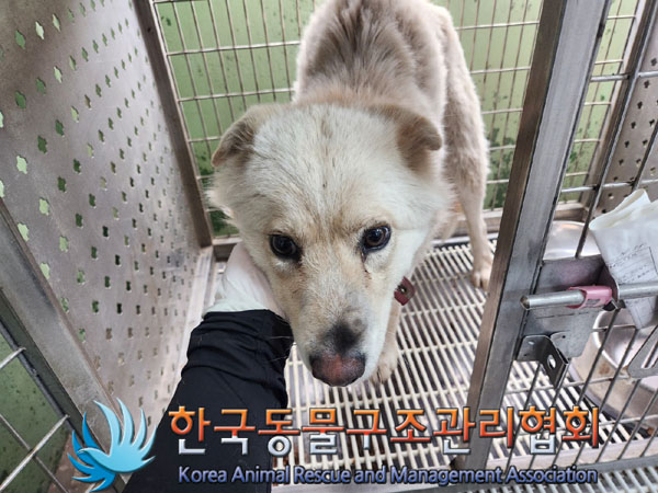 한국동물구조관리협회_441414202300210