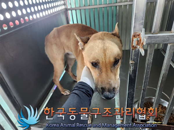 한국동물구조관리협회_441414202300214