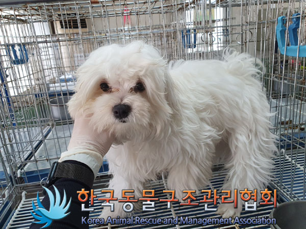 한국동물구조관리협회_411316202300225