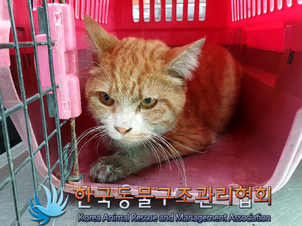 한국동물구조관리협회_411323202300219
