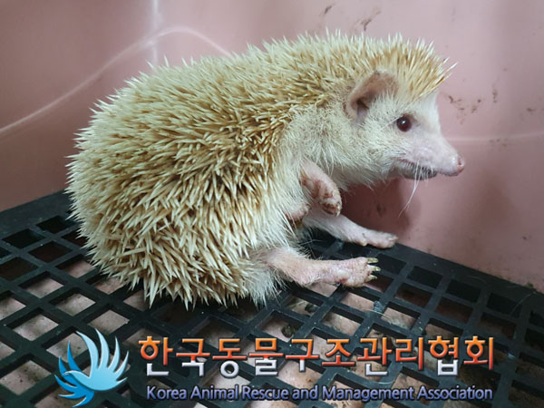 한국동물구조관리협회_411323202300221