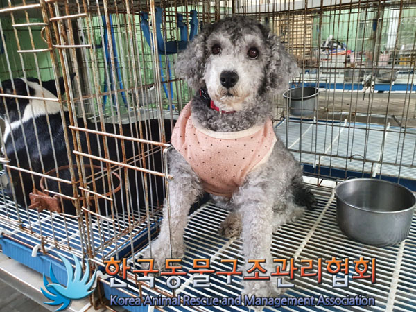 한국동물구조관리협회_411309202300146