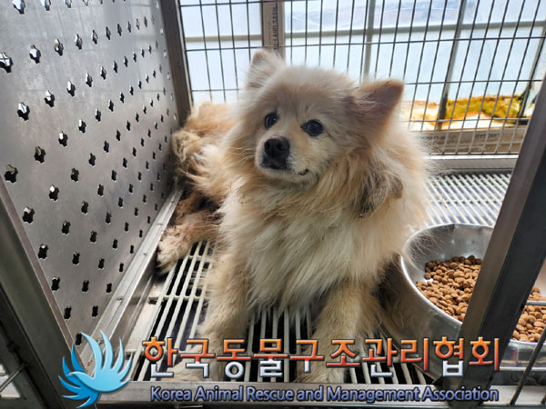 한국동물구조관리협회_441414202300215