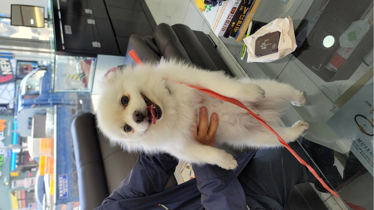 종합축산_447512202300226