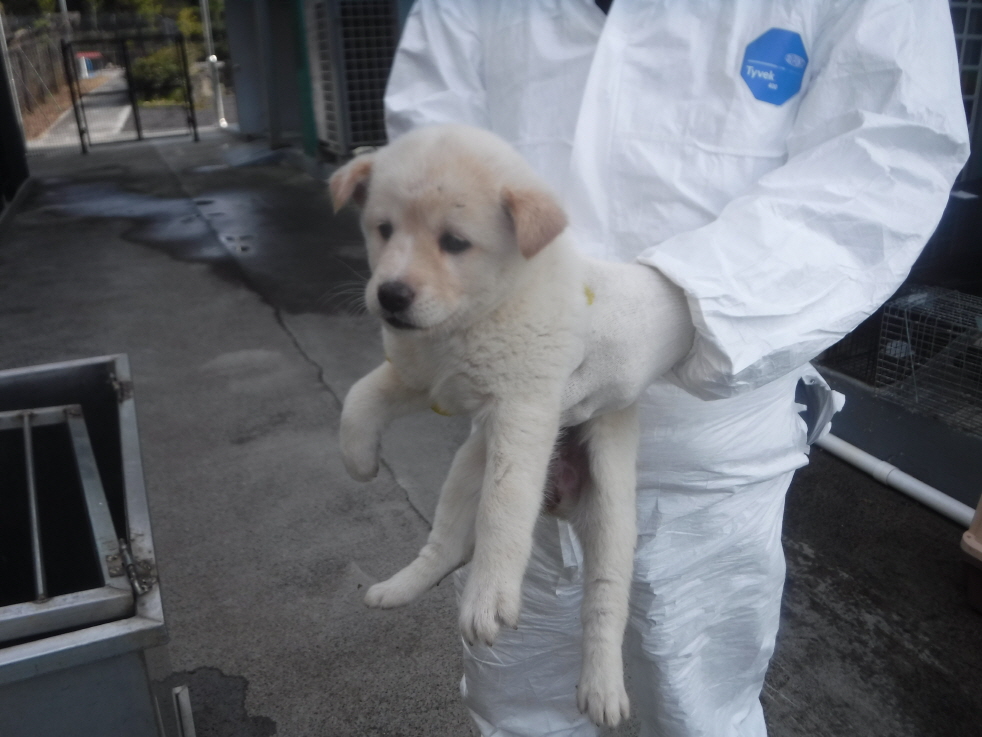 제주 동물보호센터_450650202301157
