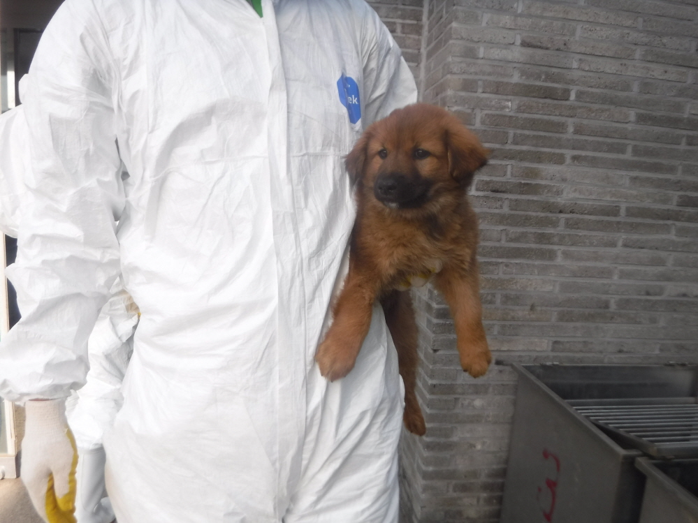 제주 동물보호센터_450650202301172