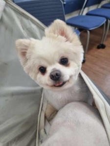 제주 동물보호센터_450650202301150