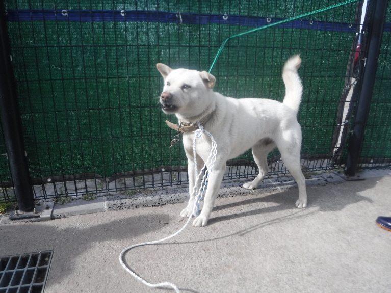 제주 동물보호센터_450650202301175