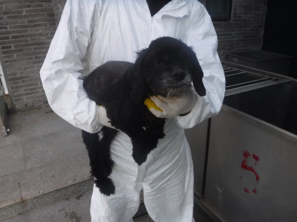 제주 동물보호센터_450650202301179