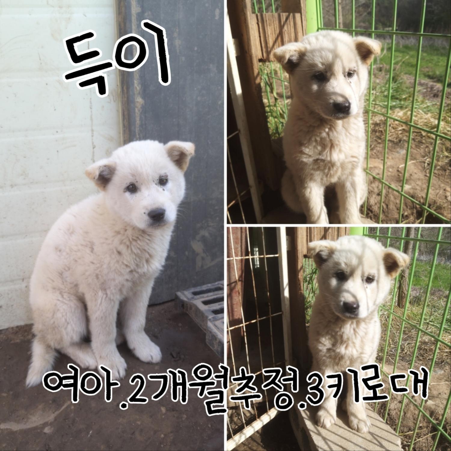 장성군동물보호센터_446498202300166