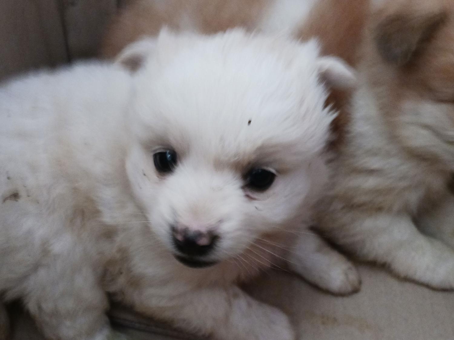 상주시 동물보호센터_447511202300356