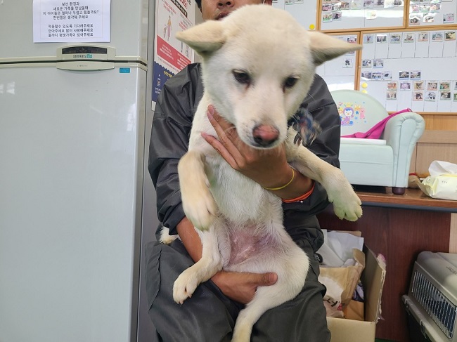 진해유기동물보호소_448532202300346