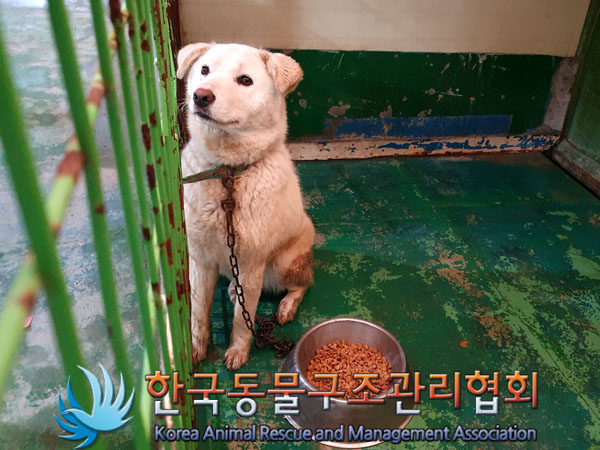 한국동물구조관리협회_441409202300510