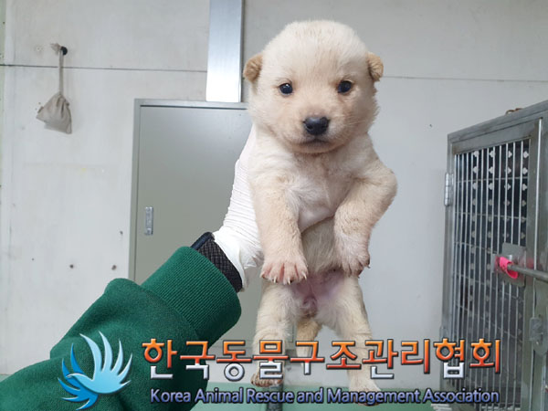 한국동물구조관리협회_441409202300502