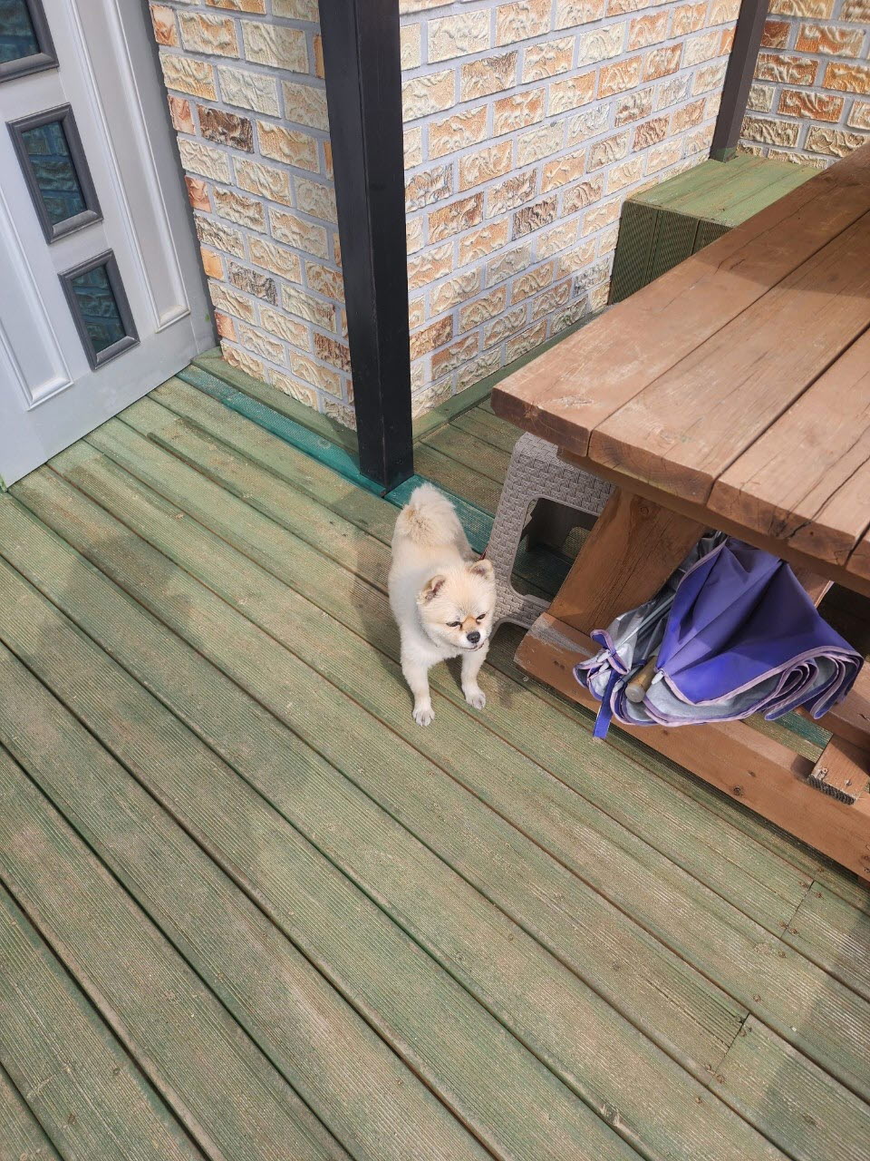아산동물복지지원센터_444452202300702