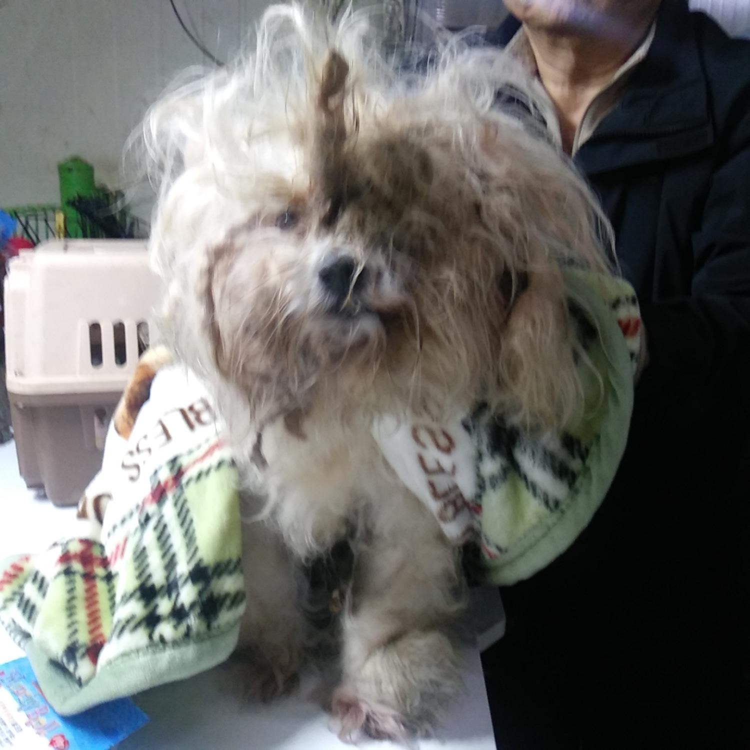 인천광역시수의사회_428351202300269