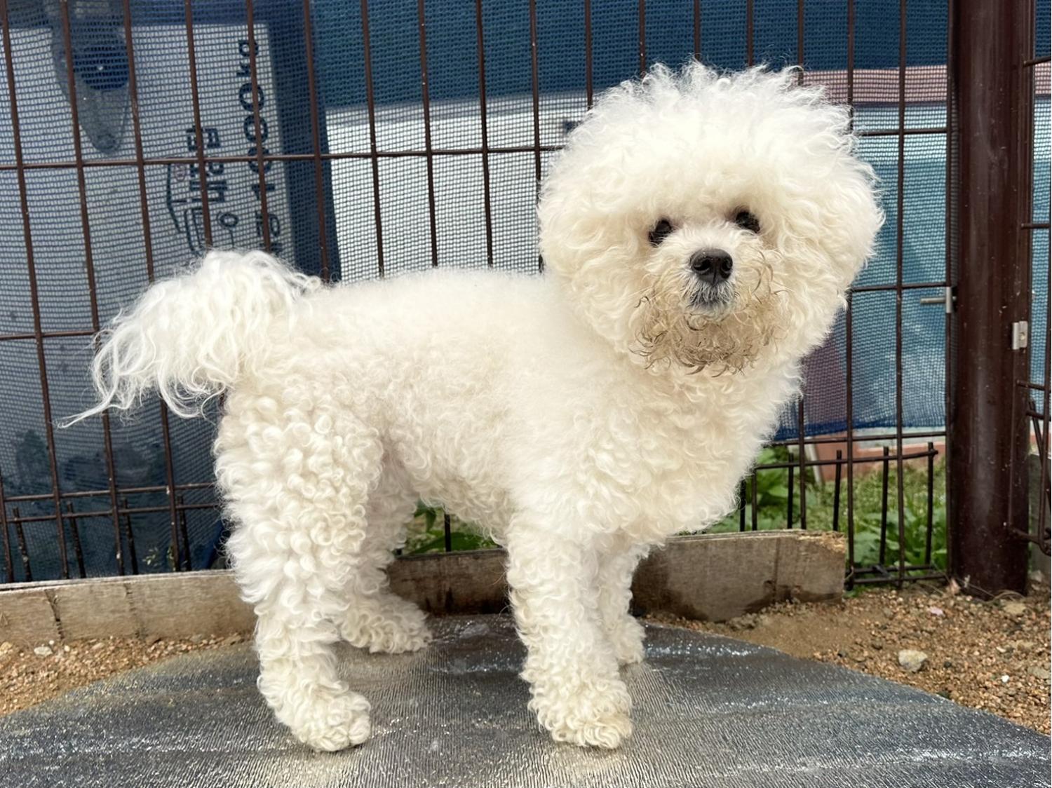 한국야생동물보호협회_441393202300509