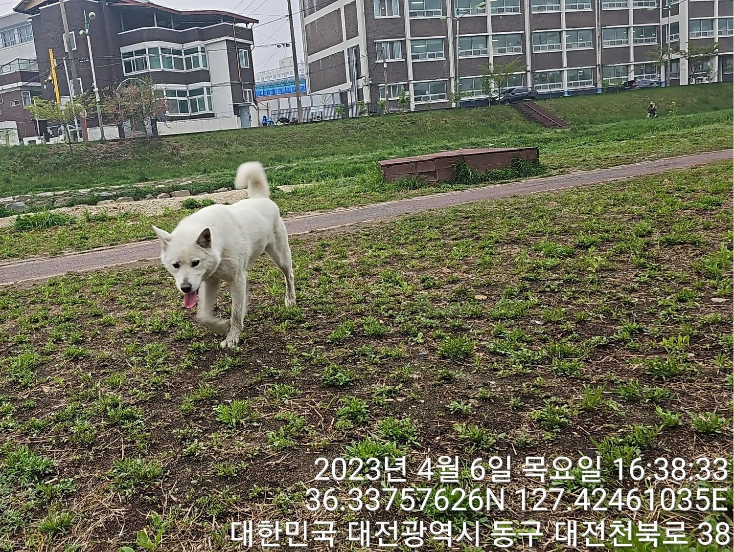 대전동물보호센터_430364202300105