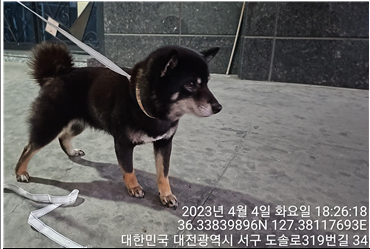 대전동물보호센터_430366202300154