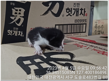 종료(자연사) 한국…