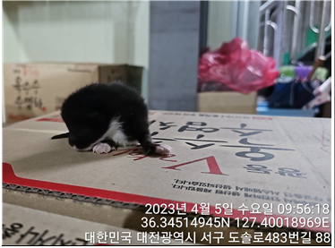 대전동물보호센터_430366202300155