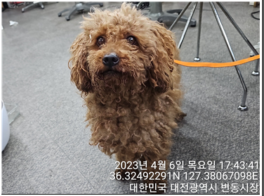대전동물보호센터_430366202300159