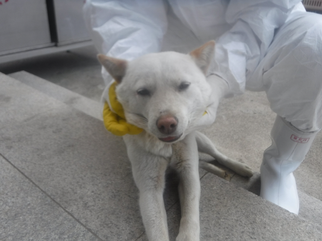 제주 동물보호센터_450650202301186