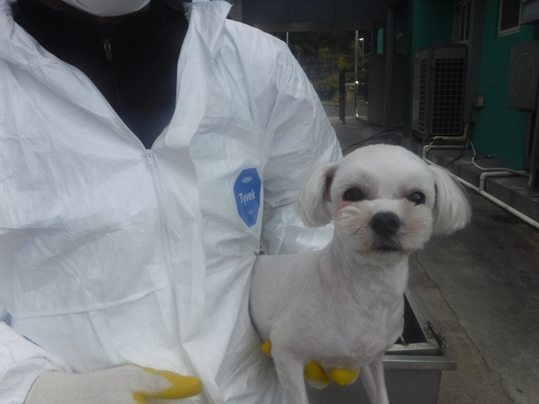 제주 동물보호센터_450650202301183