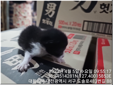 대전동물보호센터_430366202300158