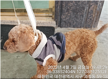 대전동물보호센터_430366202300160