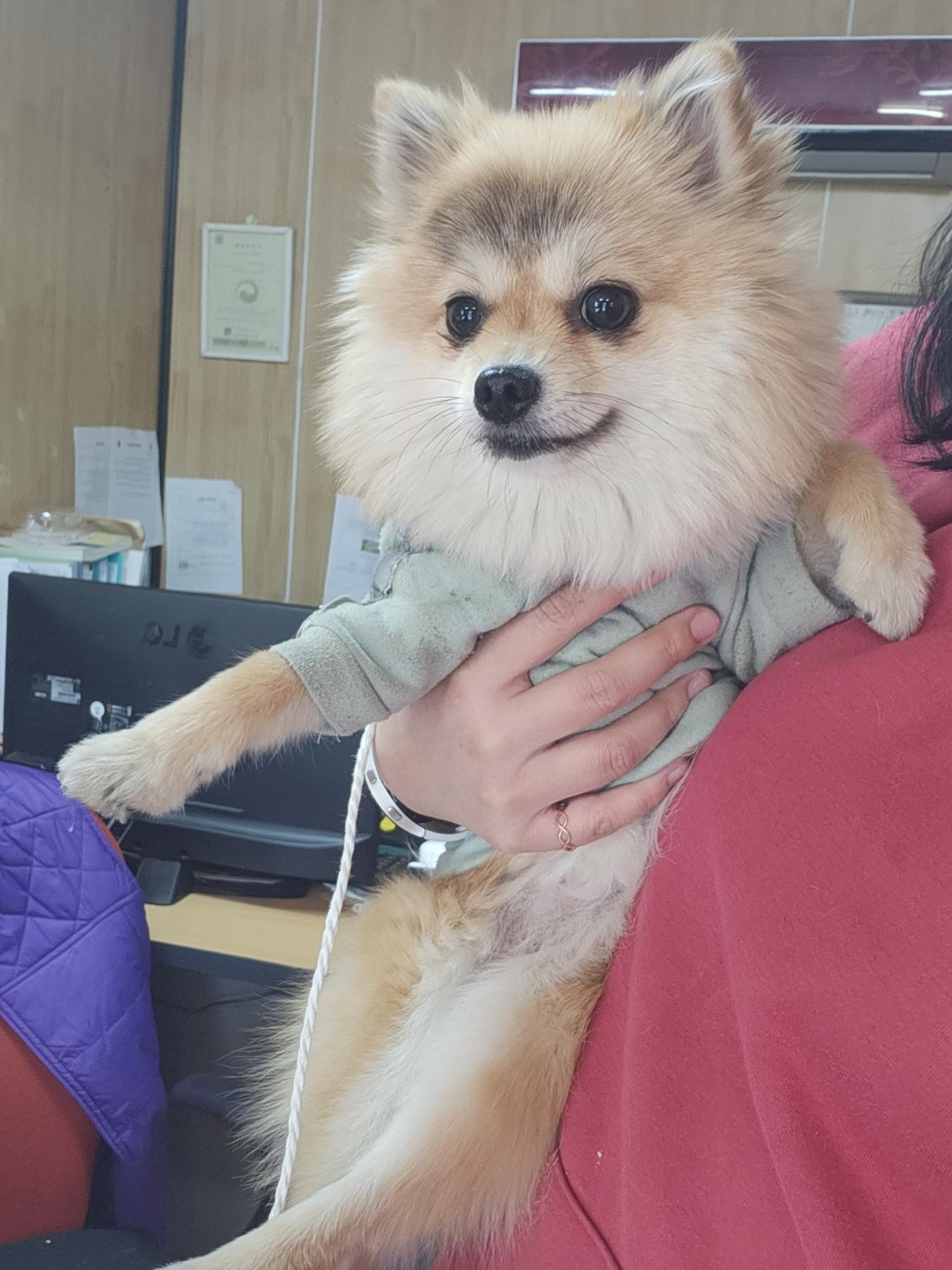 울산유기동물보호센터_431373202300331