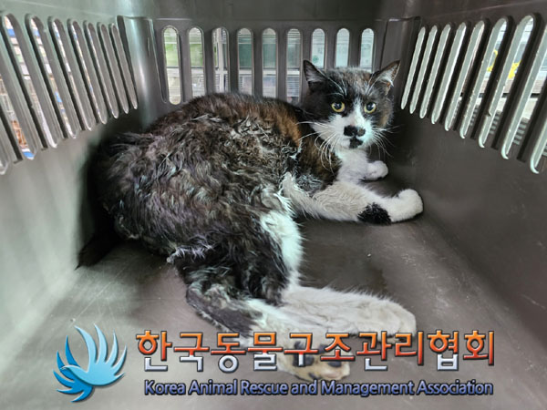 한국동물구조관리협회_441560202300325
