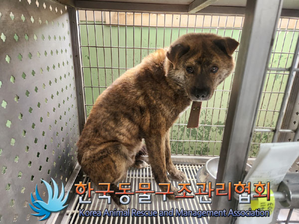 한국동물구조관리협회_441560202300326