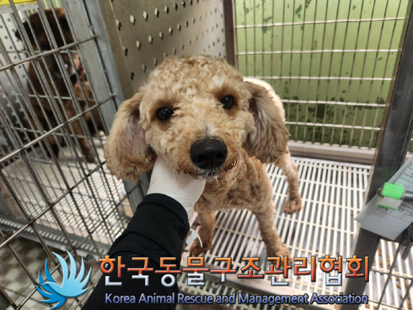 한국동물구조관리협회_411310202300119
