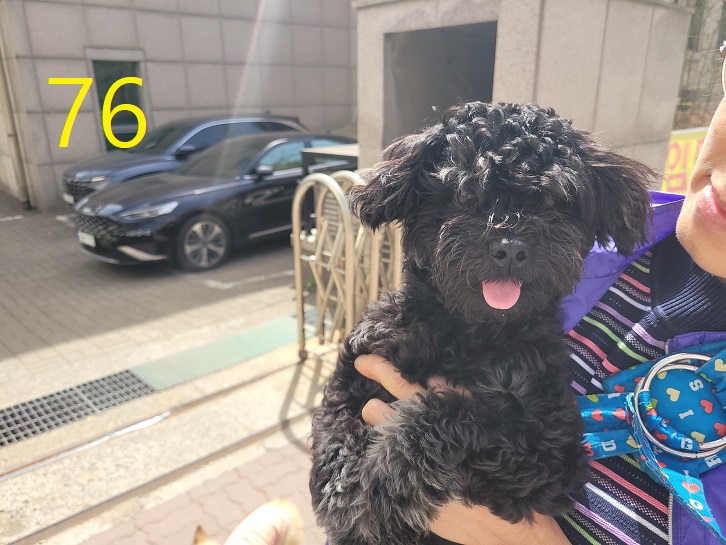 신영재동물병원_428355202300115