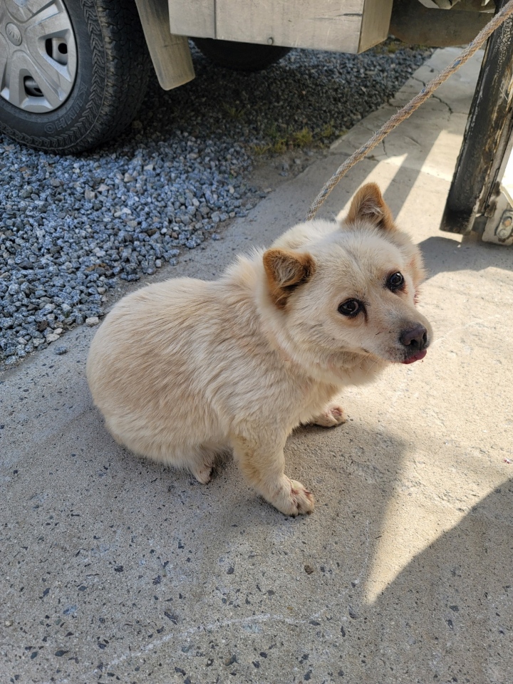 괴산증평동물보호센터_443446202300197