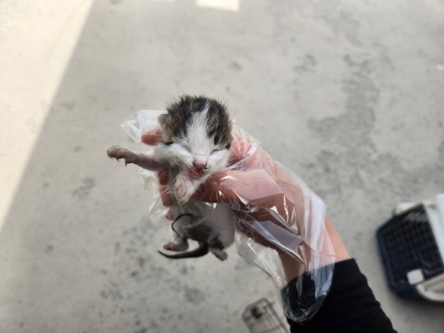 종료(자연사) 한국…