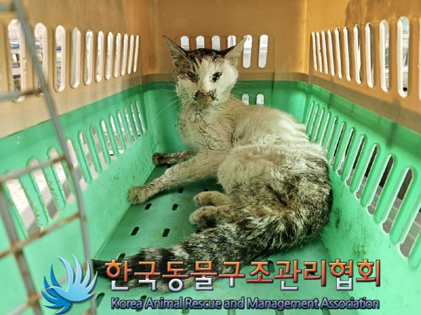 종료(자연사) 한국…