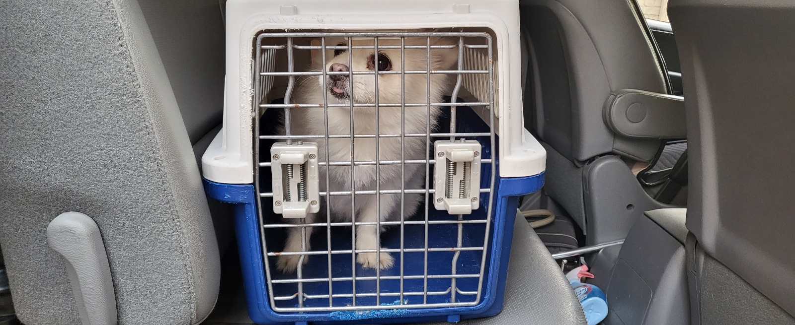 둔촌동물병원_411324202300190