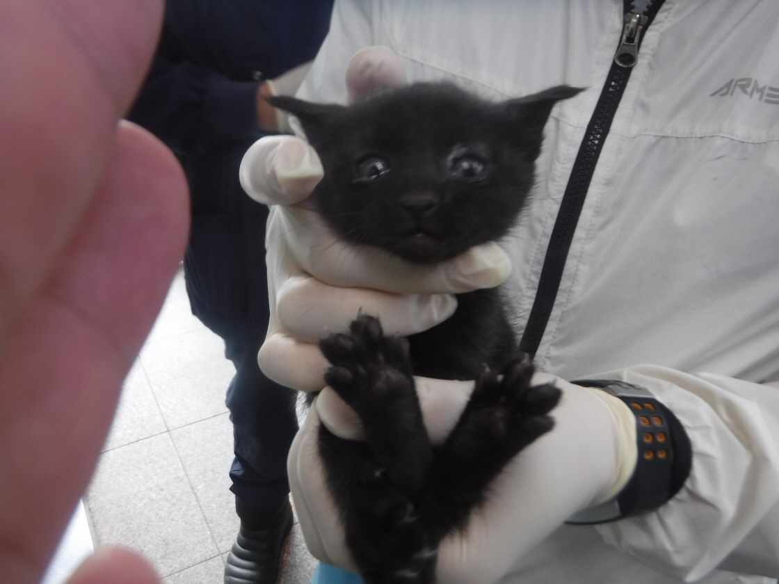 제주 동물보호센터_450650202301215