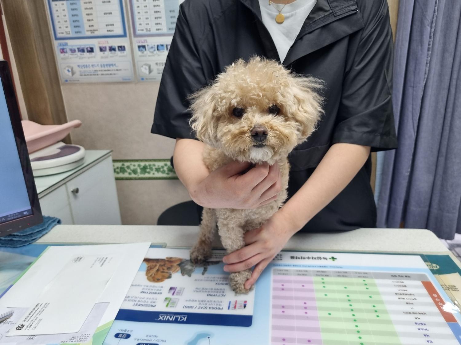 대구시수의사회(보경)_427343202300212