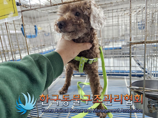 한국동물구조관리협회_411309202300148