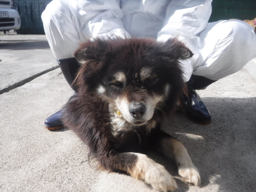 제주 동물보호센터_450650202301208