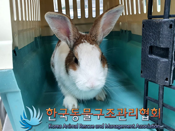 한국동물구조관리협회_411300202300110