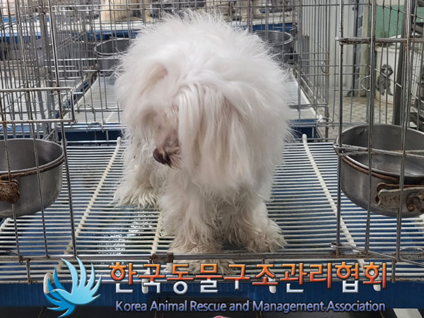 한국동물구조관리협회_411315202300250