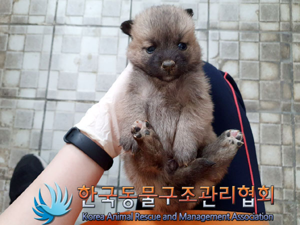 한국동물구조관리협회_441559202300286