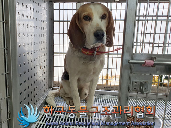 한국동물구조관리협회_441560202300329