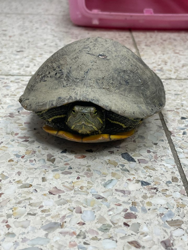 반려동물보호센터_443571202301076