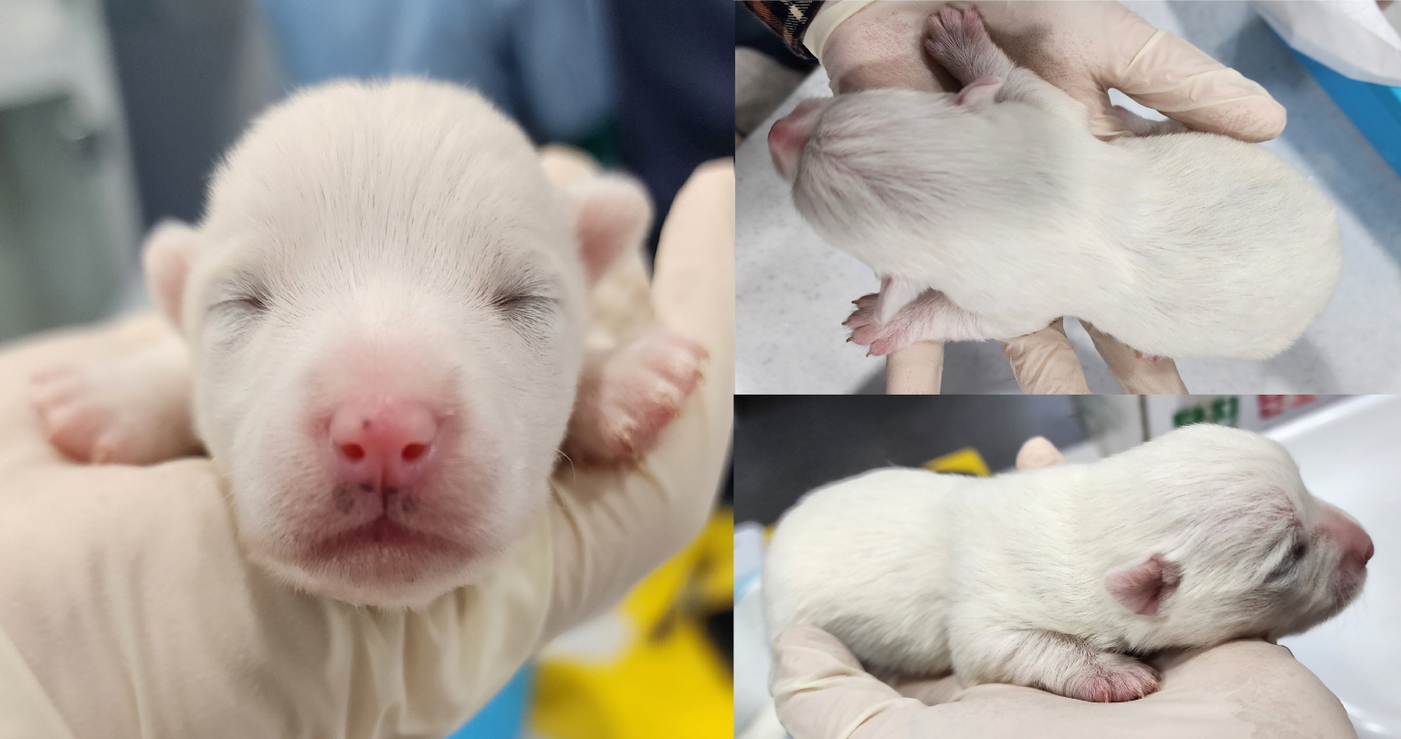 서산시 동물보호센터_444453202300266